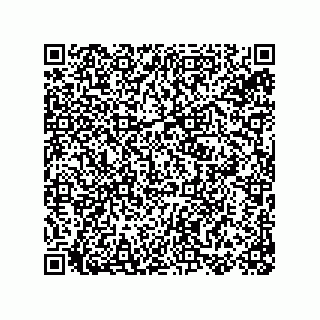 vCard 78155250013