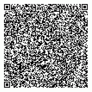 vCard 78155250017