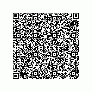 vCard 78155250029