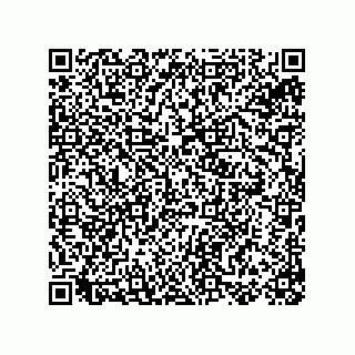 vCard 78155250041