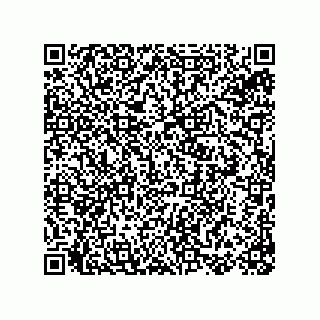 vCard 78155250087