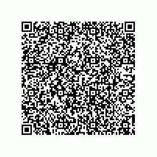 vCard 78155250199