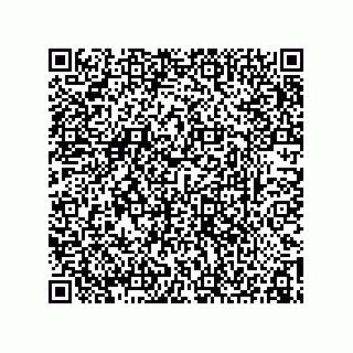 vCard 78155250377