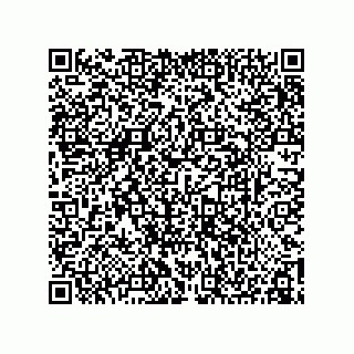 vCard 78155250378