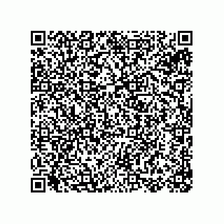 vCard 78155250379