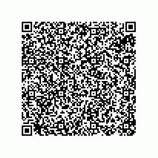 vCard 78155250381