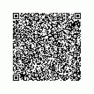 vCard 78155250383