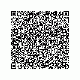vCard 78155250384