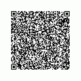 vCard 78155250387