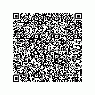 vCard 78155250388