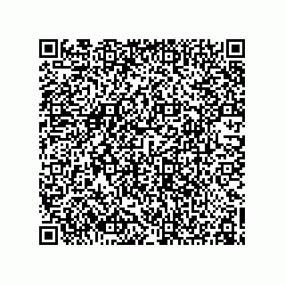 vCard 78155256001