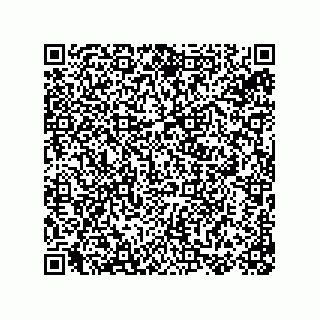 vCard 78155256010