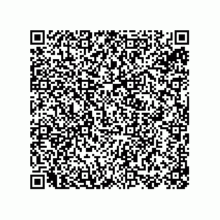 vCard 78155256013