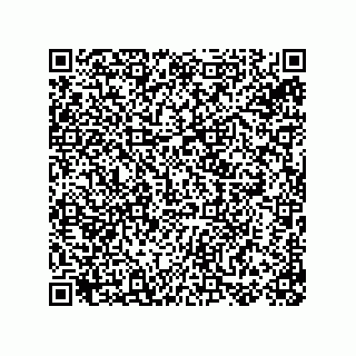 vCard 78155256041