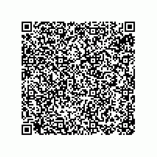 vCard 78155256095