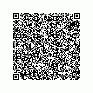 vCard 78155256099