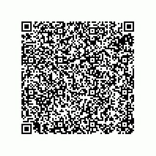 vCard 78155256100
