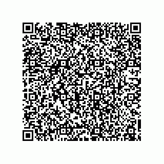 vCard 78155256111