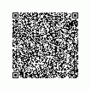 vCard 78155256131