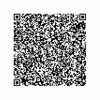 vCard 78155256133