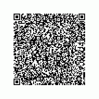 vCard 78155256211
