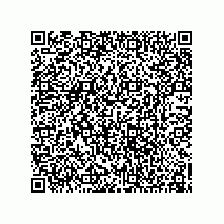 vCard 78155256217