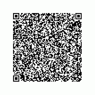 vCard 78155256281
