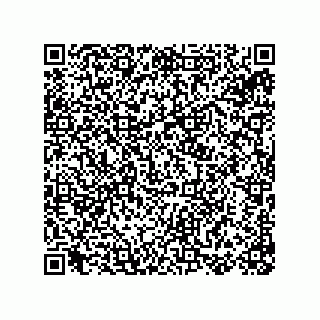 vCard 78155256313
