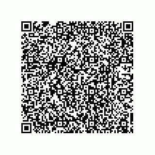 vCard 78155256321