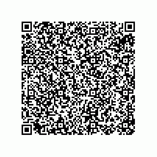 vCard 78155256329