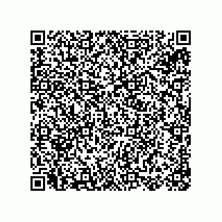 vCard 78155256331