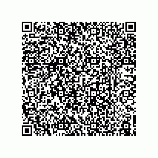 vCard 78155256335