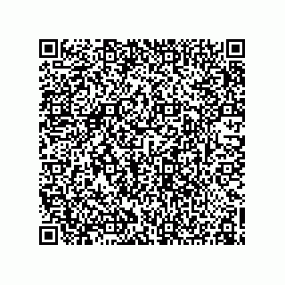 vCard 78155256381
