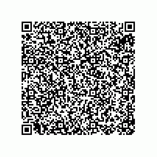 vCard 78155256383
