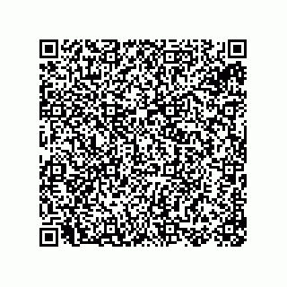 vCard 78155256384