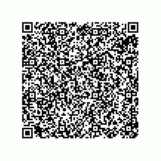 vCard 78155256387