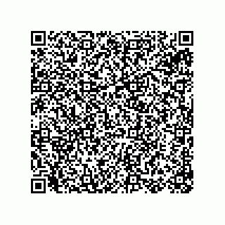 vCard 78155256388