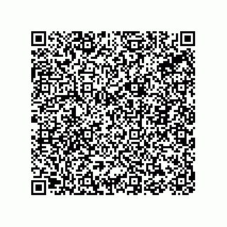 vCard 78155343552