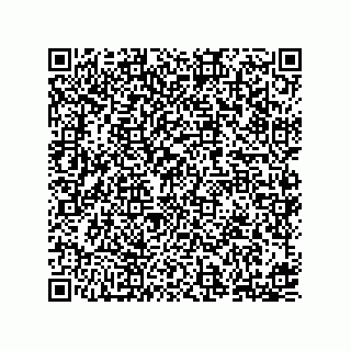 vCard 78155346225