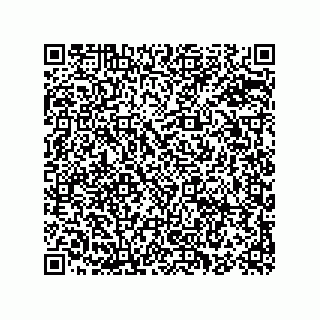 vCard 78155426313