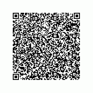 vCard 78155426381