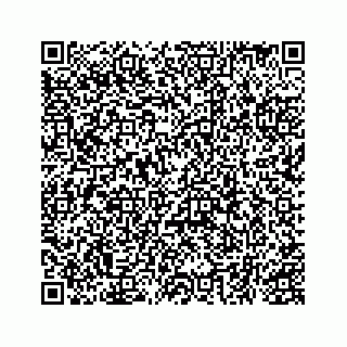 vCard 78155477384