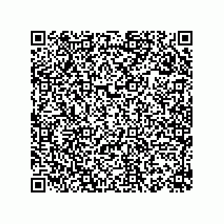 vCard 78155540021
