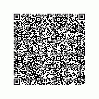 vCard 78155549027