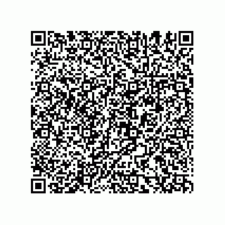 vCard 78155549032