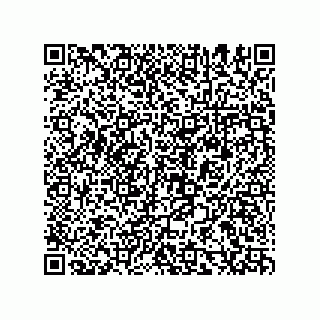 vCard 78155549133