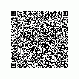 vCard 78155549209