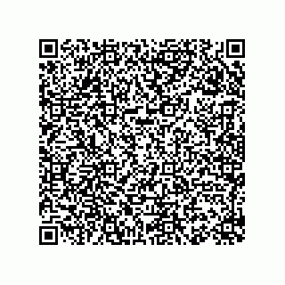 vCard 78155549229