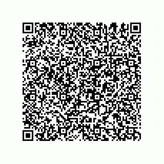 vCard 78155549233