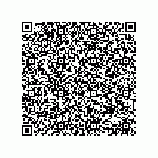 vCard 78155549241